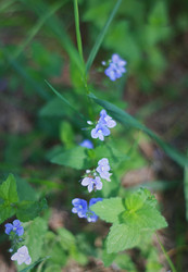 Similar image 1437298