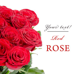 Similar image 1437525