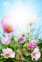 Similar image 1437601