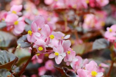 Similar image 1437602