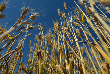 Similar image 1437780