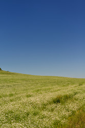 Similar image 1437810