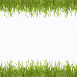 Similar image 1438004