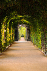 Similar image 1438018