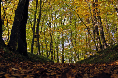 Similar image 1438038