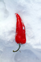 Similar image 1438064