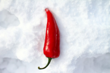 Similar image 1438065