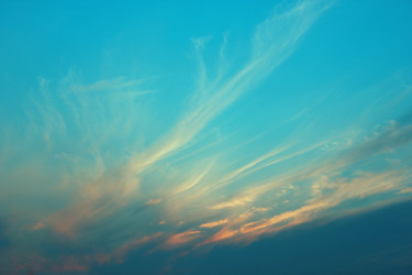 Similar image 1438124