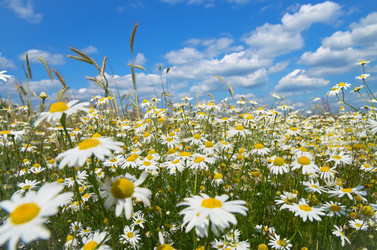 Similar image 1438126