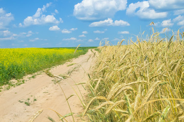 Similar image 1438127