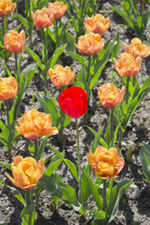 Similar image 1438128