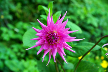 Similar image 1438132