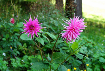 Similar image 1438133