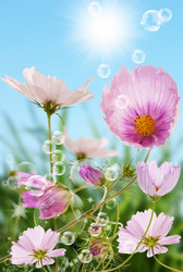 Similar image 1438142