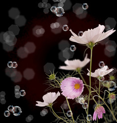 Similar image 1438143