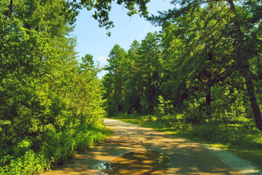 Similar image 1438173