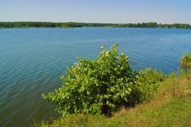 Similar image 1438175