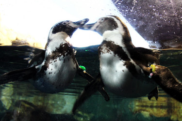 Similar image 1438177