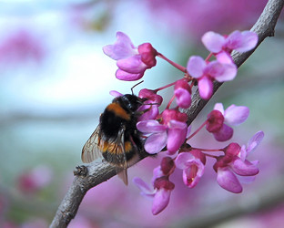 Similar image 1438181