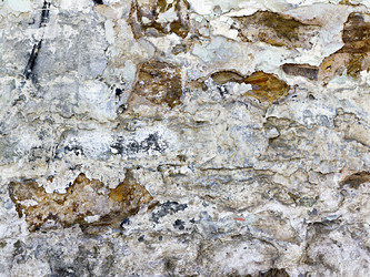 Similar image 1438197