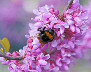 Similar image 1438198