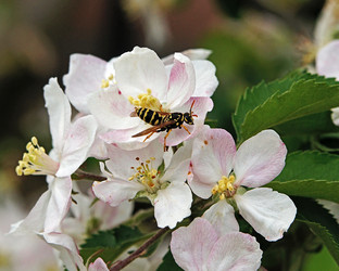 Similar image 1438199