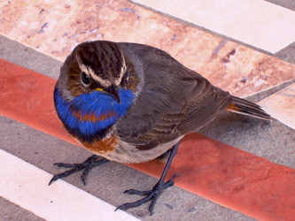 Similar image 1438200