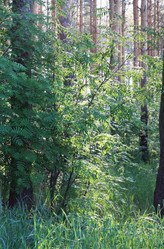 Similar image 1438236