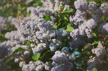 Similar image 1438238