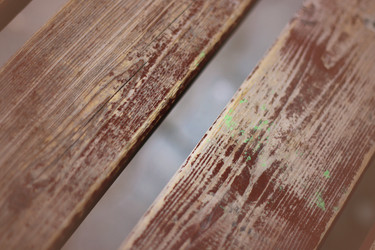 Similar image 1438241