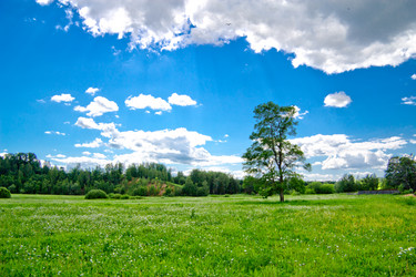 Similar image 1438252