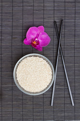 Similar image 1438267