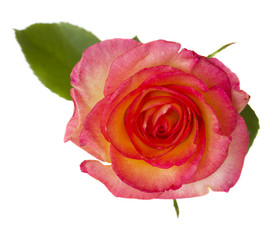 Similar image 1438268