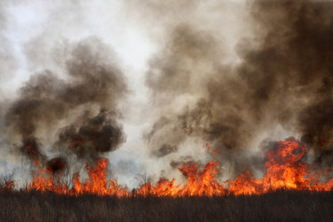 Similar image 1438276