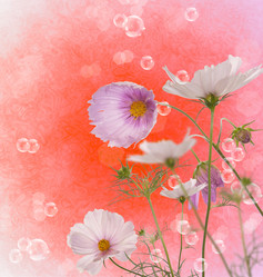 Similar image 1438290