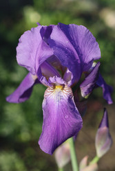 Similar image 1438292