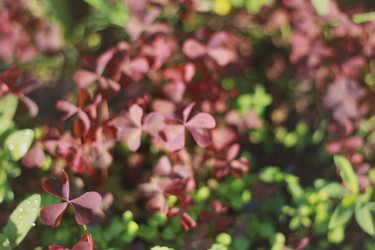 Similar image 1438293