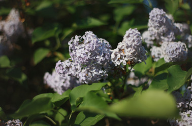 Similar image 1438294