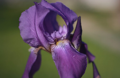 Similar image 1438295