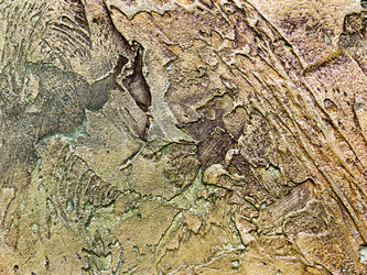 Similar image 1438296