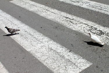 Similar image 1438298