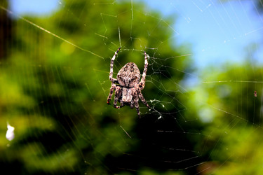 Similar image 1438311