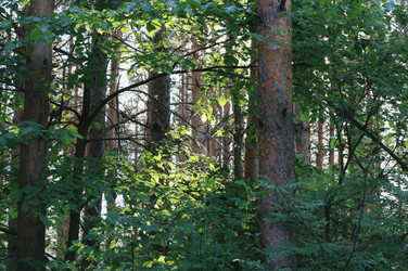 Similar image 1438312