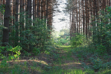 Similar image 1438313