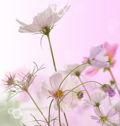 Similar image 1438330