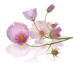 Similar image 1438334