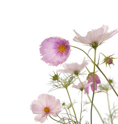 Similar image 1438336