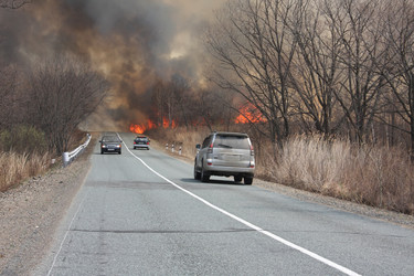 Similar image 1438358