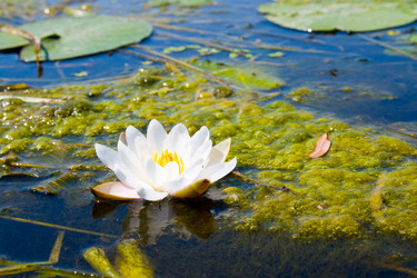 Similar image 1438367