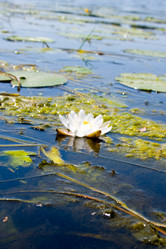 Similar image 1438368